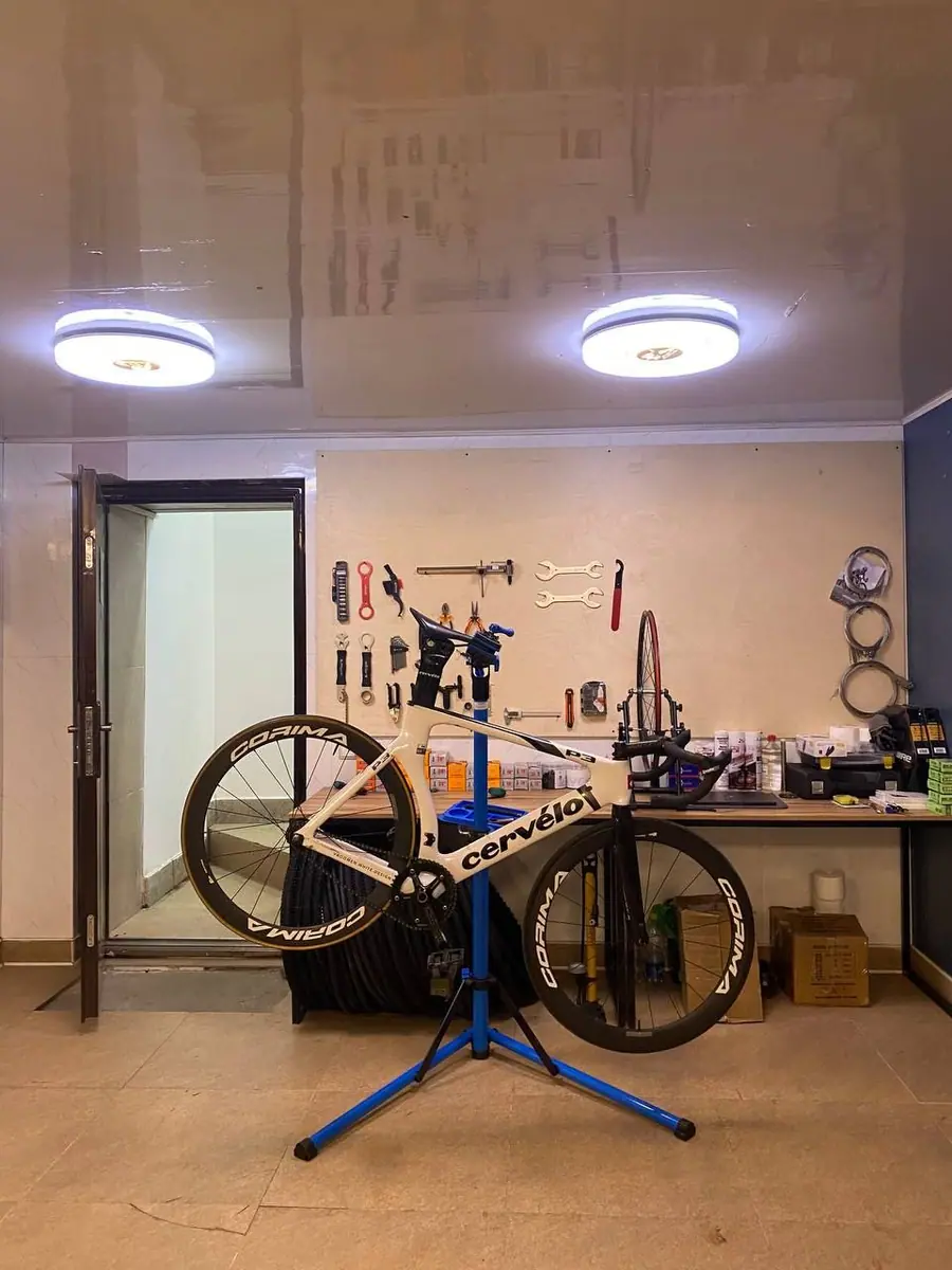 Corima X ridea, фото 2